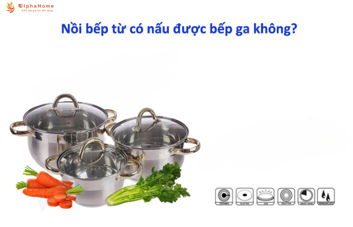 Nồi bếp từ có nấu được bếp ga không?